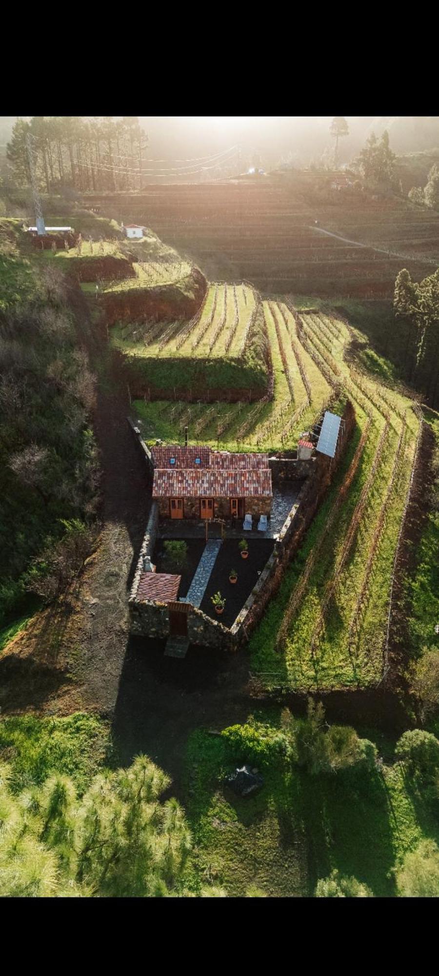 Finca Hortensia El Castillo  Exterior photo
